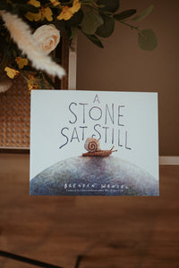 A Stone Sat Still by Brendan Wenzel