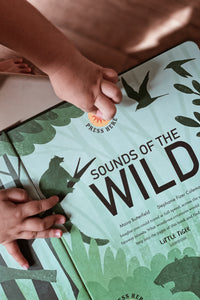 Sounds of the Wild by Moira Butterfield