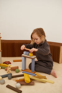[PREORDER] City in a Box Building Blocks