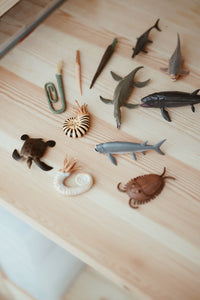 Mini Prehistoric Marine Animals II Set