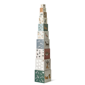 Aaren Stacking Boxes