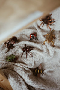 Insect, Arachnid and Amphibian Set - 7 Pcs