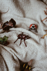 Insect, Arachnid and Amphibian Set - 7 Pcs